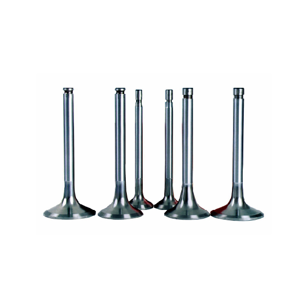 Engine Valve